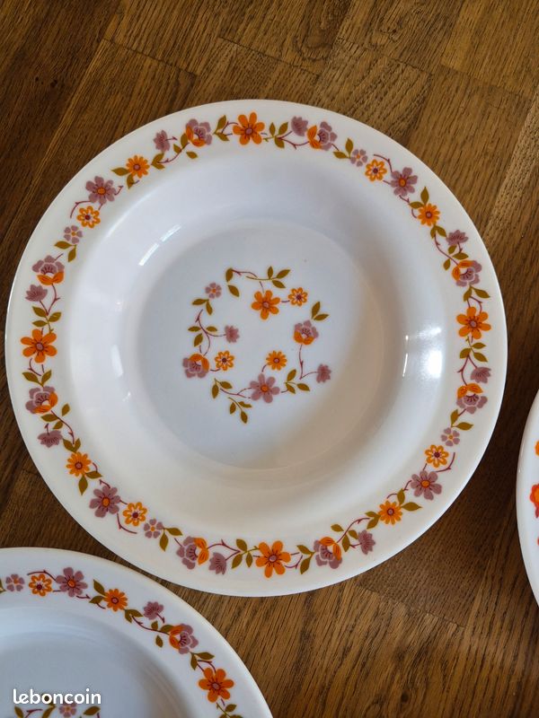 5 ASSIETTES CREUSES ARCOPAL Vintage Collection Tulipes EUR 15,00 - FR