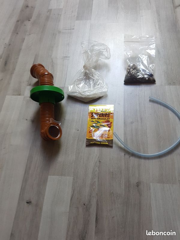 Kit triops (image 1)