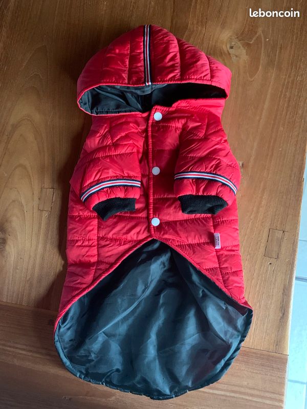 Manteau chien (image 1)