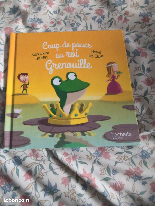 Coup de pouce au roi Grenouille (image 1)