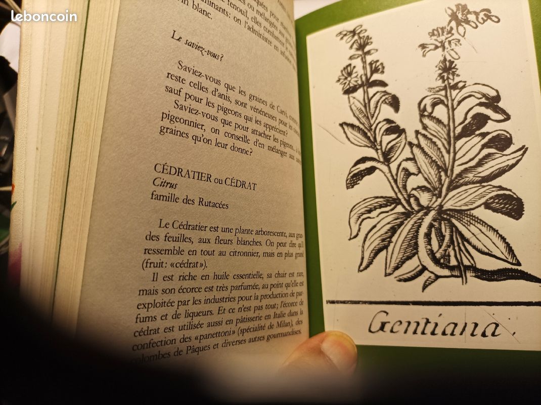 Nos amies les plantes 3 livres (image 7)