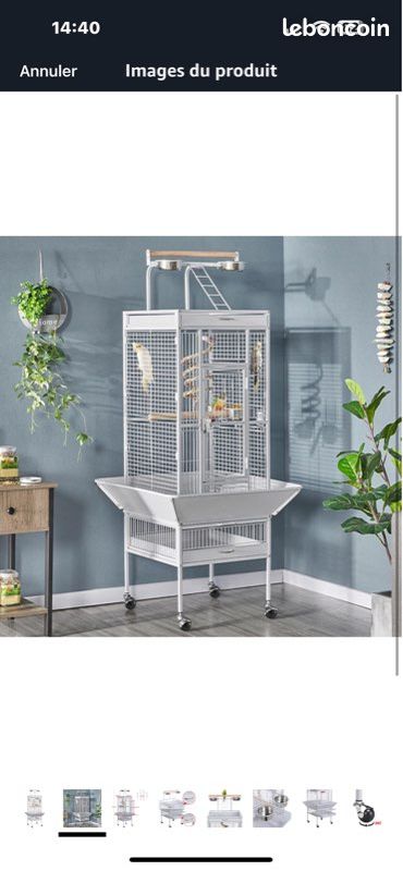 Cage oiseau (image 3)