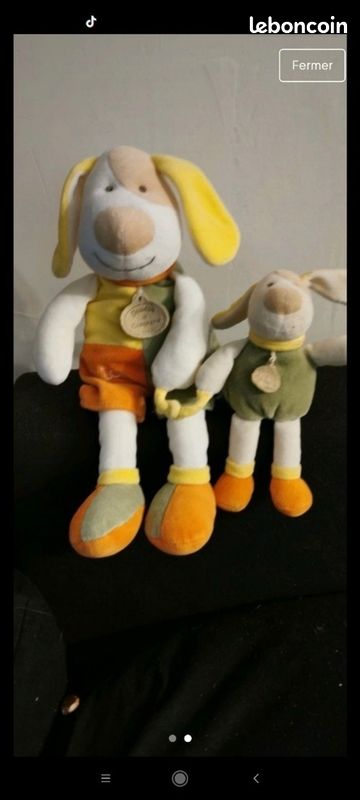 Chiens doudou et compagnie (image 1)
