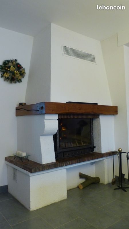 Cheminee insert (image 1)
