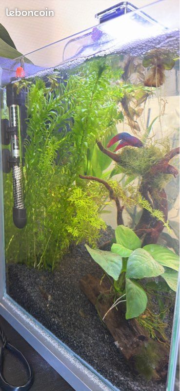 Aquarium complet équipé – prêt à l’emploi (Marseille) (image 1)