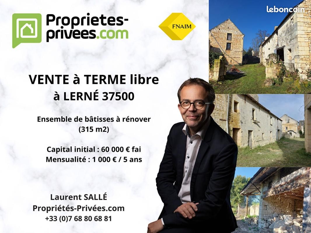 Maison 11 pièces 315 m² · à Lerné · 315 m² · 60 000 €