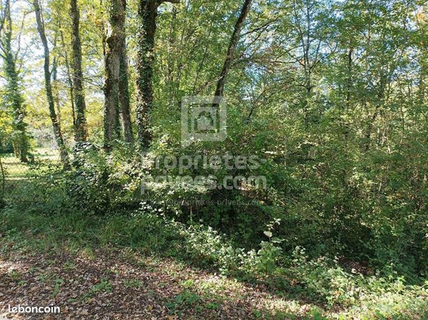 Terrain 4 515 m² Montgesty