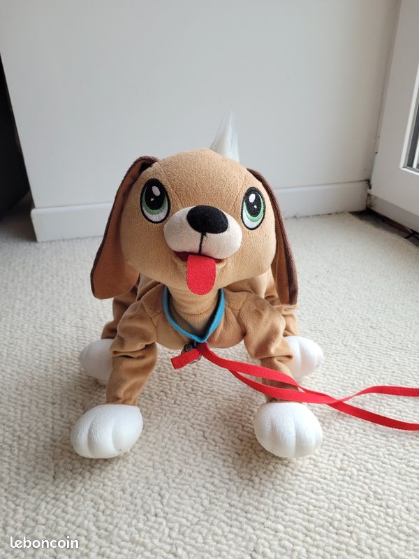 Superbe chien Toufou (image 1)