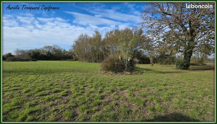 Terrain 3 741 m² Nachamps