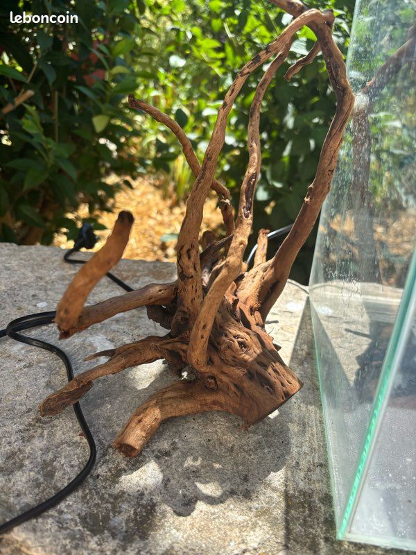 Aquarium 15l (image 3)
