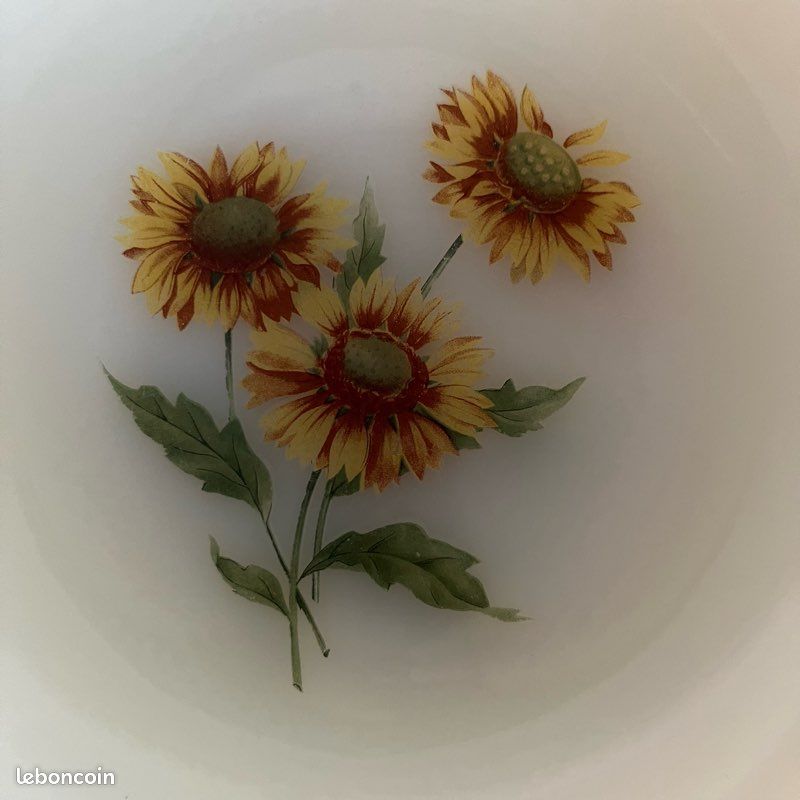 Lot De 7 Assiettes à Dessert Arcopal - Motifs Fleurs : Volubilis, Narcisse, Tournesol