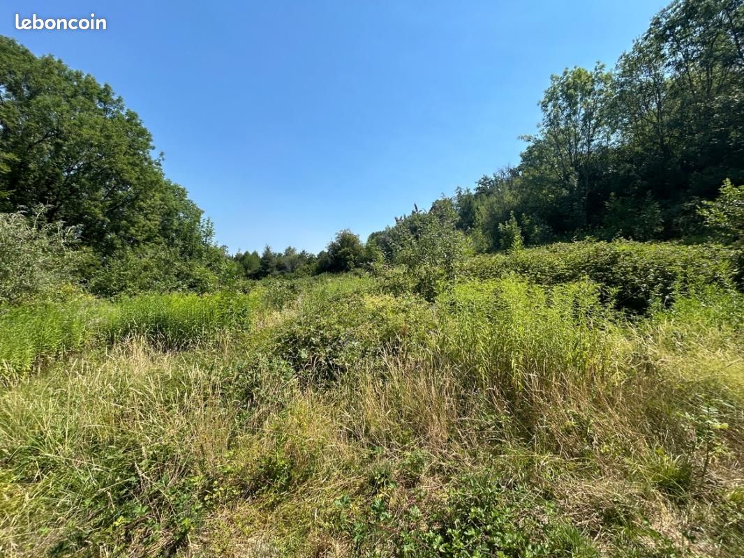 Terrain agricole 10 360 m² Annecy · 18 000 €