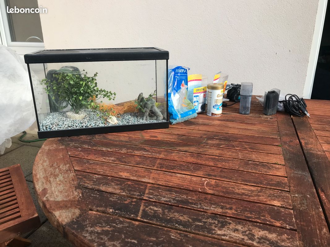 Aquarium 25l complet (image 1)