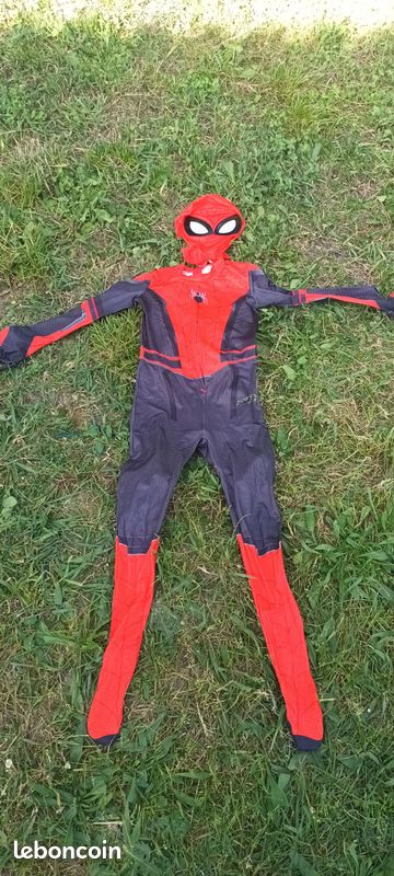 Déguisement spiderman (image 1)