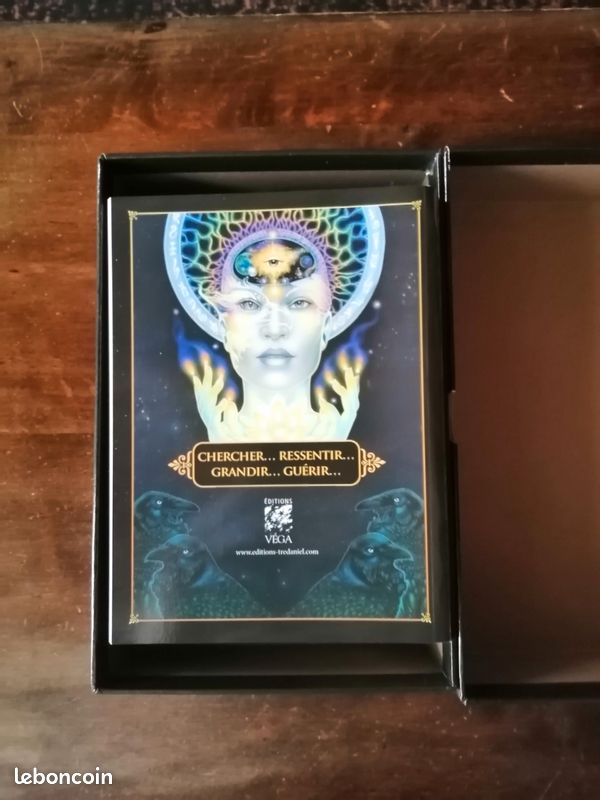 Le tarot des rêves de Gaïa (de Ravynne Phelan)- relié et illustré (image 4)