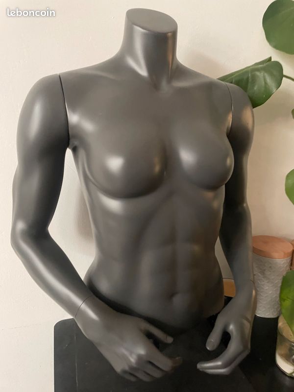 Buste mannequin (image 1)