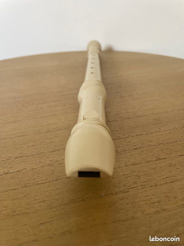 Histoire de la flûte traversière | Instruments de musique | Bois