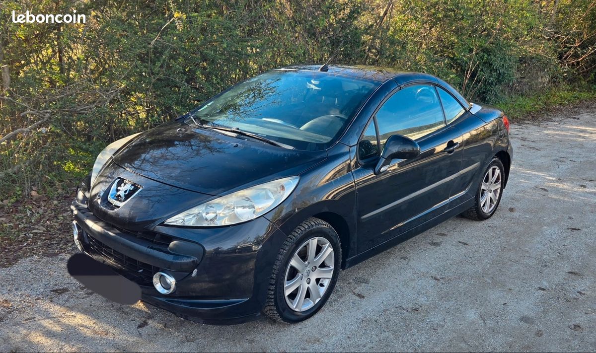 Avis Sur 207 Cc