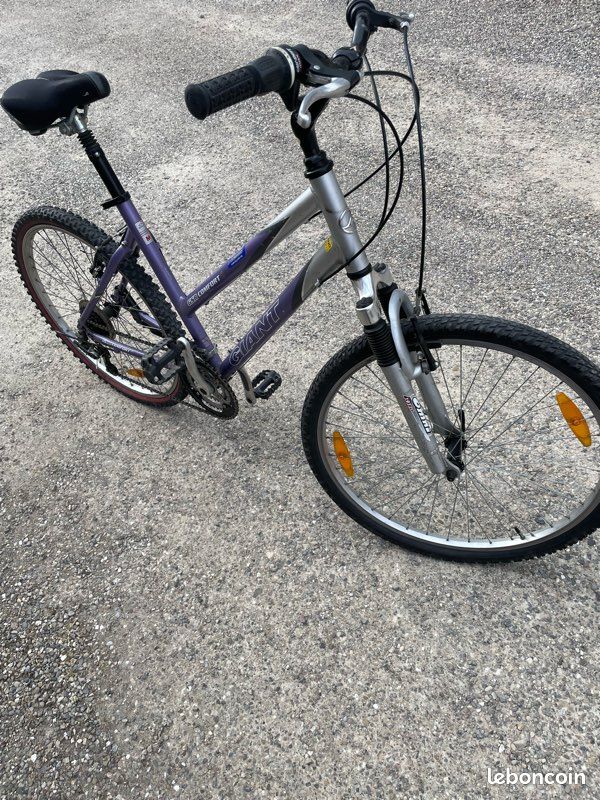 Bicycle DÃ©brider VÃ©lo Ã©lectrique Giant VÃ©lo Femme Giant