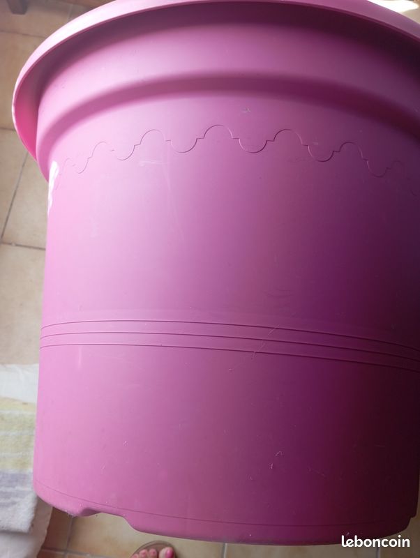 Grand pot de fleurs rose (image 2)