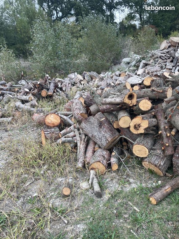 Bois de chauffage (image 5)