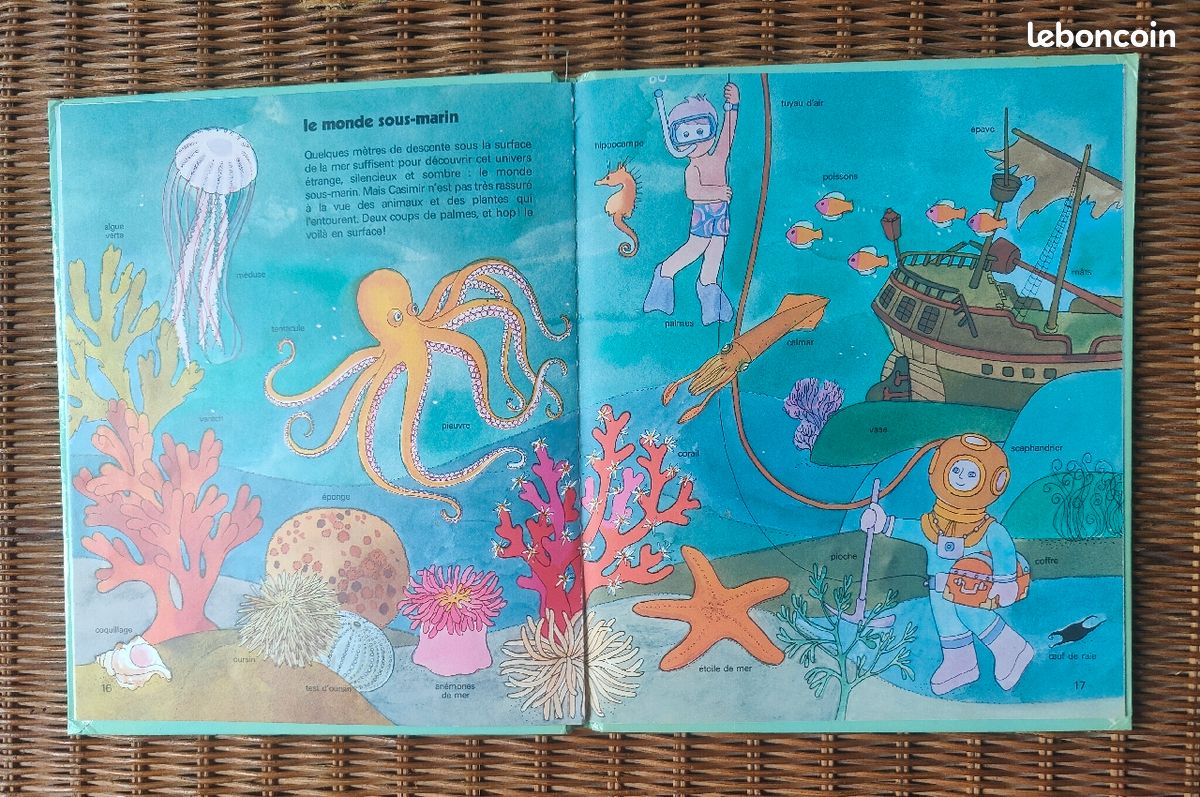 Les Farfeluches Au Bord De Mer En 307 Mots (image 3)