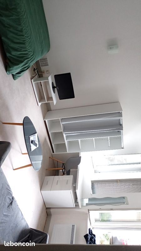 Appartement meublé pont neuf - Poitiers 86000 (image principale 1)