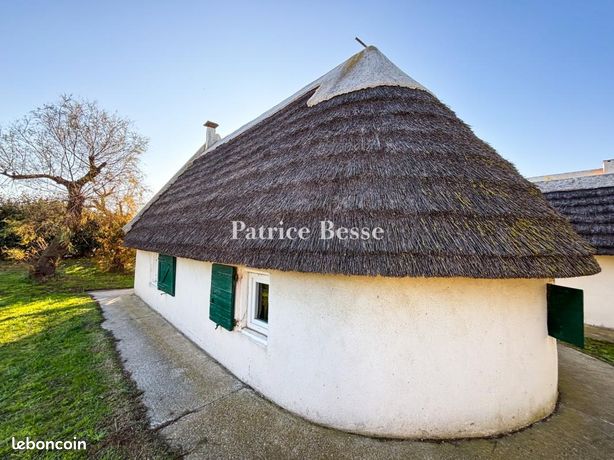 Cabanon 1 pièce 80 m²
