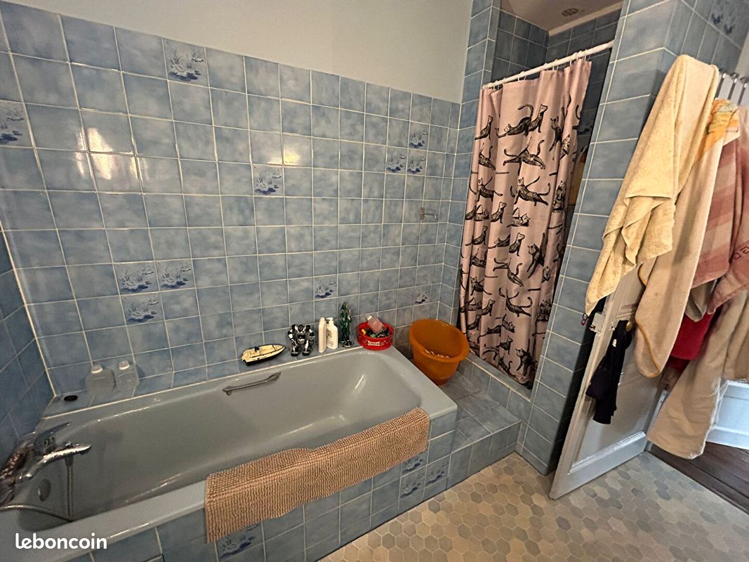 Appartement 5 pièces 129 m² - Poitiers 86000 (image principale 10)