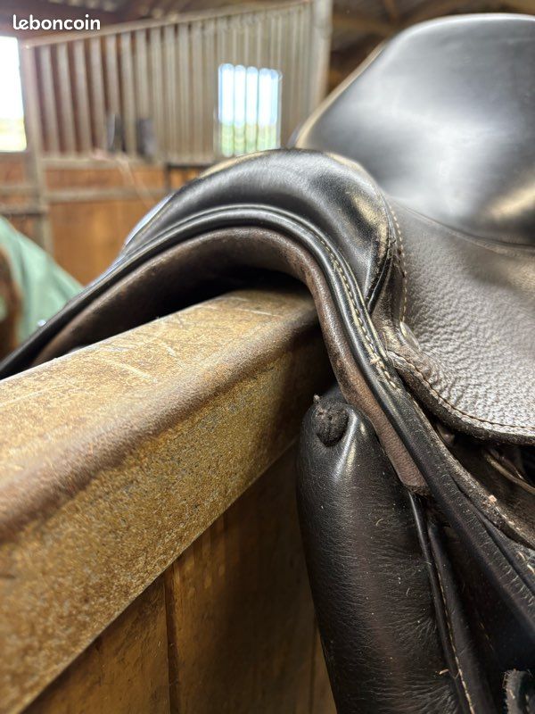 Selle Fouganza Romeo Sport Plein air