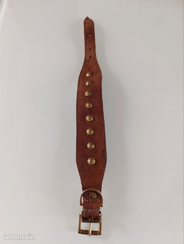 Collier chiens cuir 8 clous plats dorés (image 2)