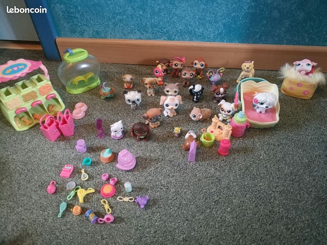 Lot de Petshop + accessoires (image 1)