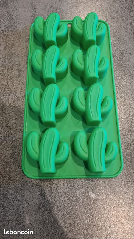 Moule silicone cactus (image 1)