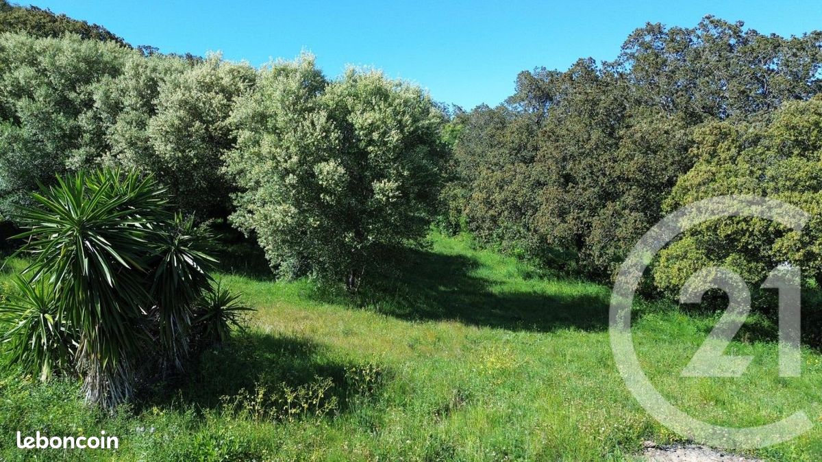 Terrain 2 629 m² Rogliano · 441 000 €