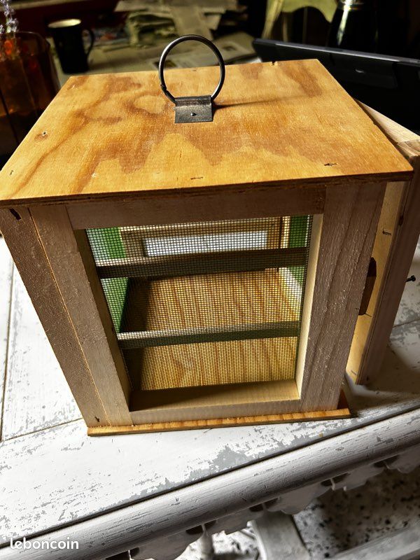 Garde manger neuf en hêtre (image 4)