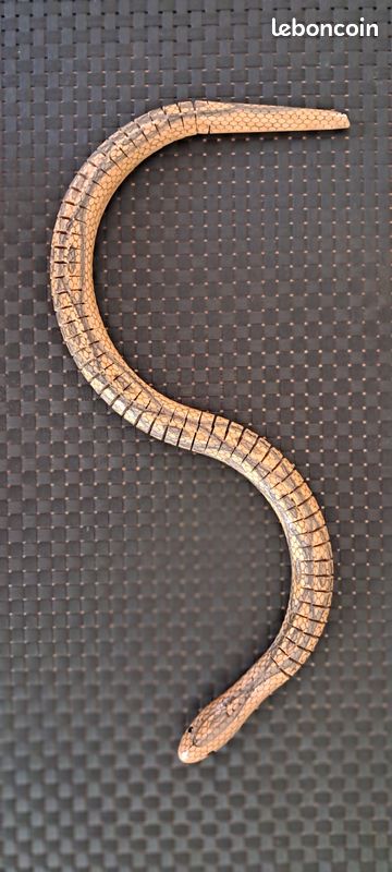 Lot 10 Serpents En Bois Brut à Peindre - Jouet Articulé Avec Peinture Et Pinceaux - Idéal Halloween Et Anniversaire Enfants