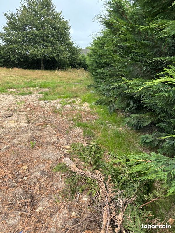 Terrain à vendre · à Vierzon · 30 000 €