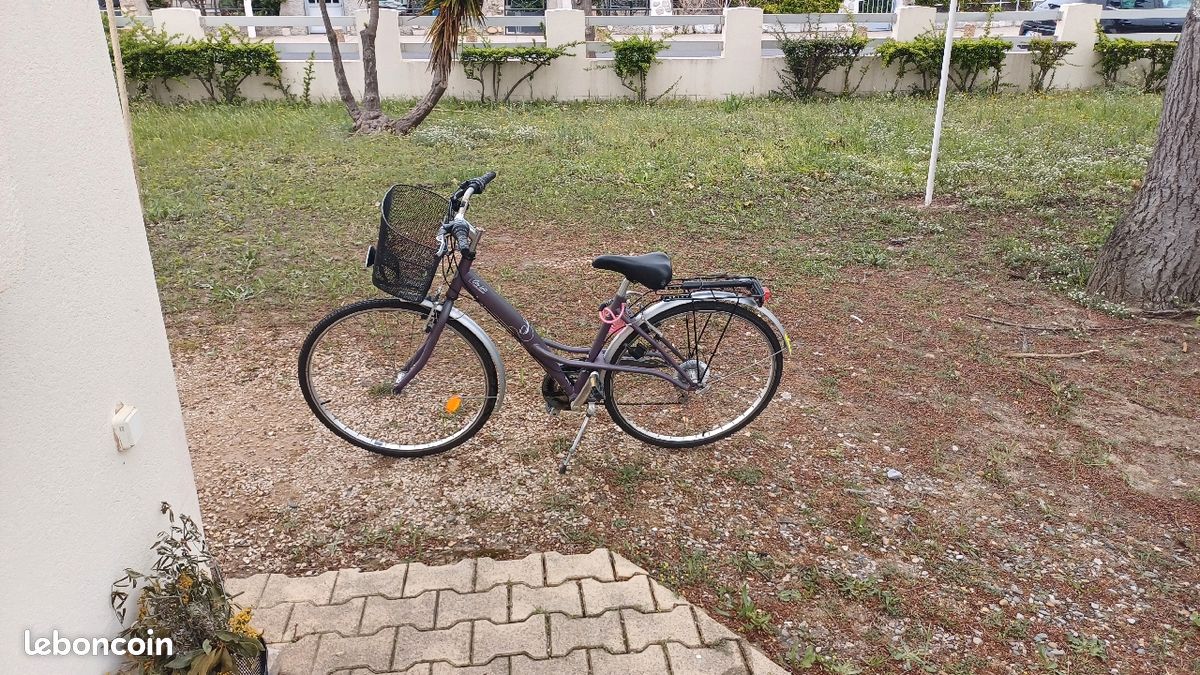 Vélo femme avec panier (image 3)