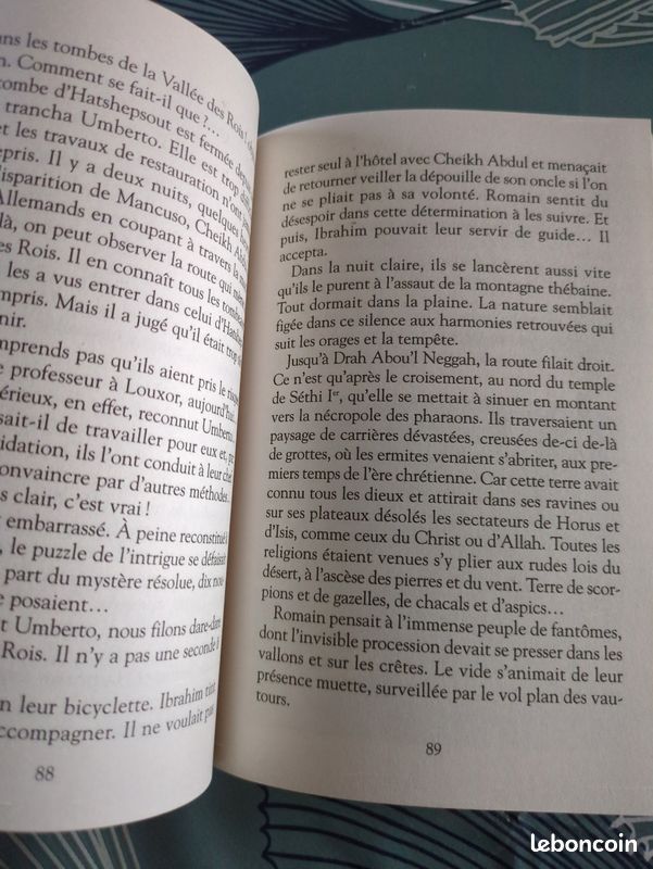 Mystère dans la vallée des rois (image 3)