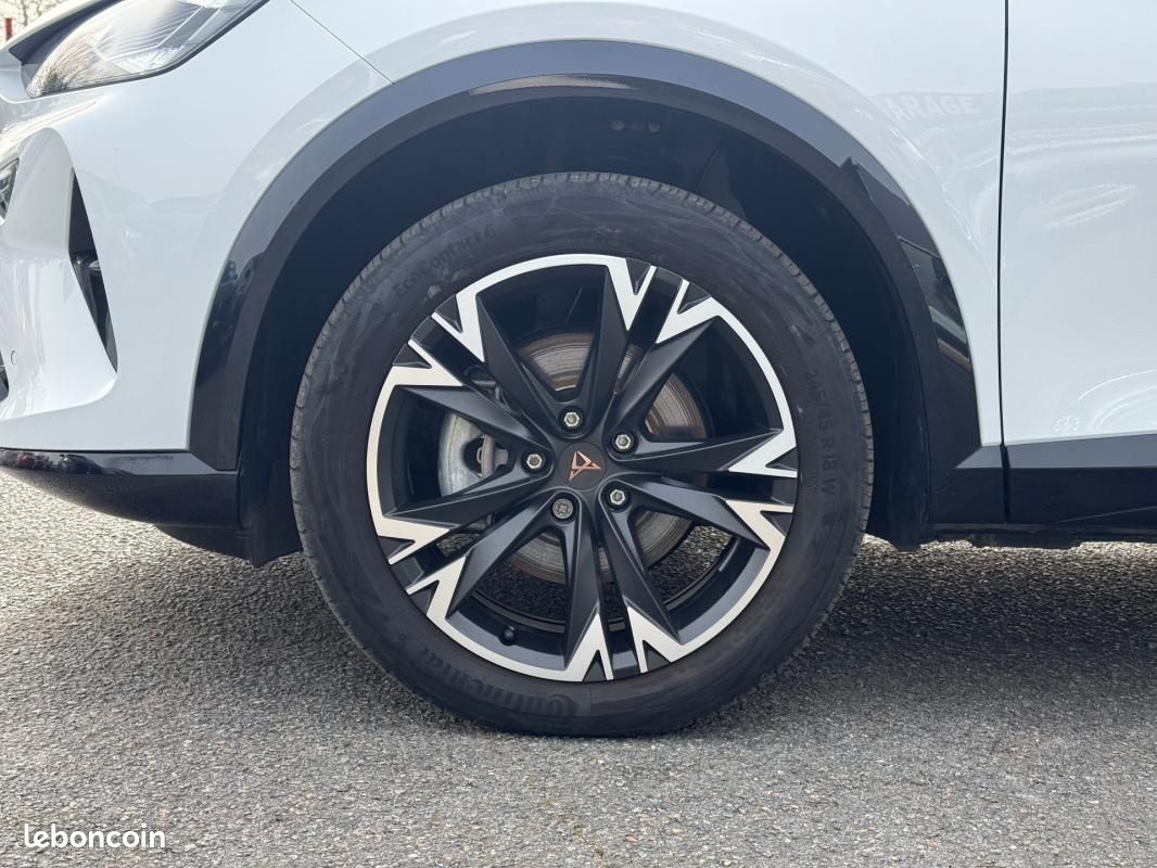 Cupra Formentor 2.0 TDI 150 ch DSG7 V (image 6)