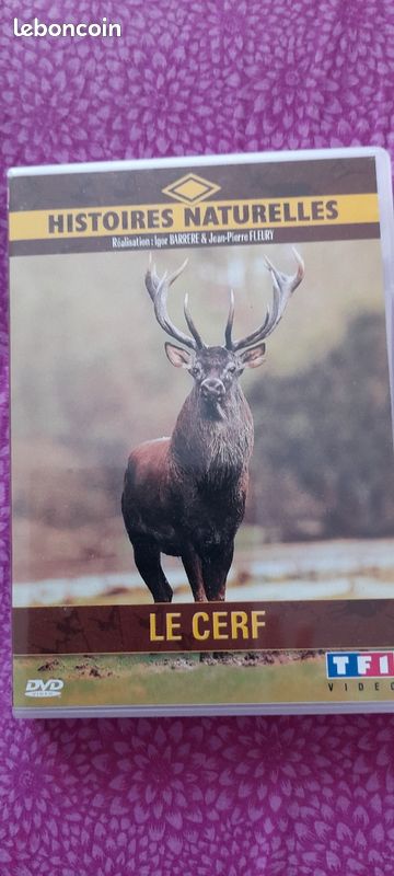 DvD 12 au choix certain sous blister (image 3)