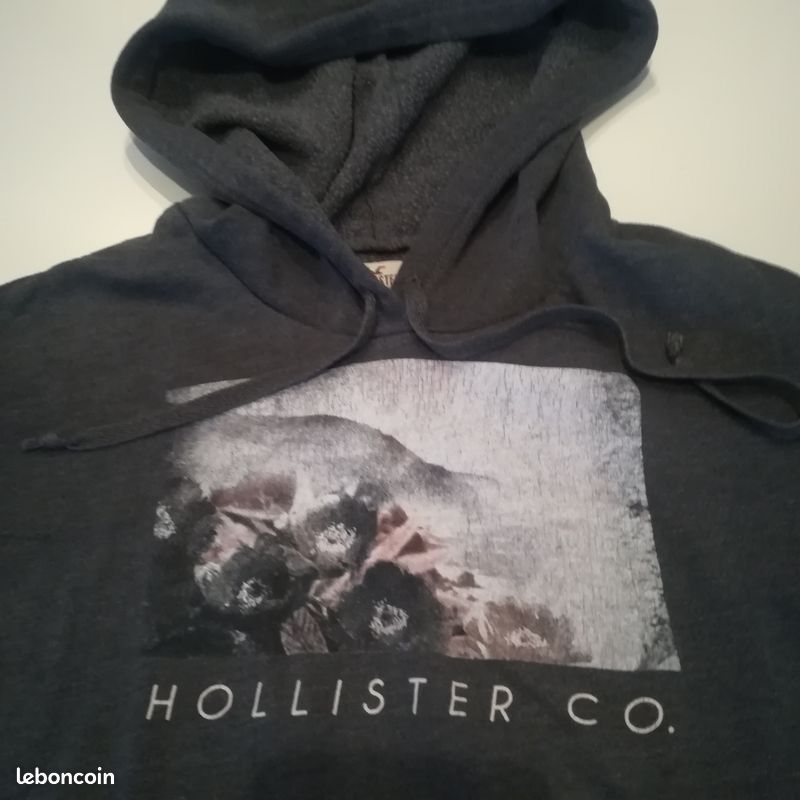 Sweat capuche HOLLISTER FEMME XS (image 2)