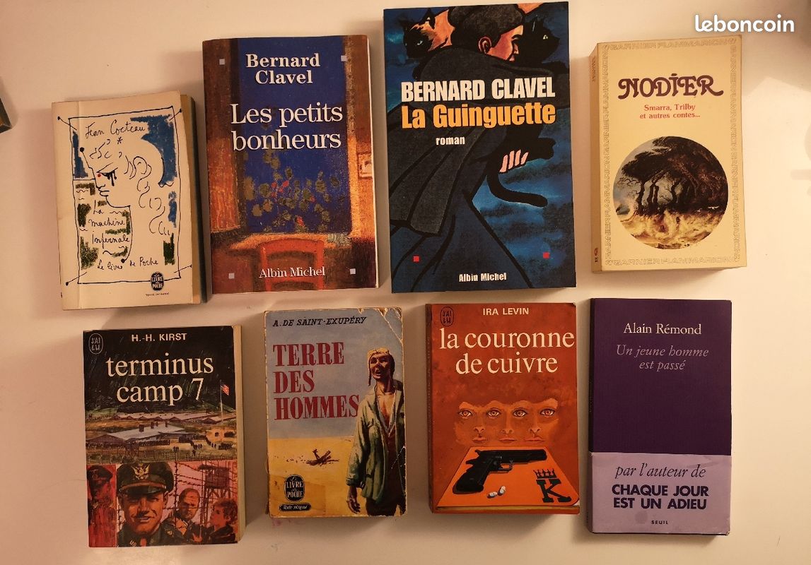 Lot de romans (image 1)