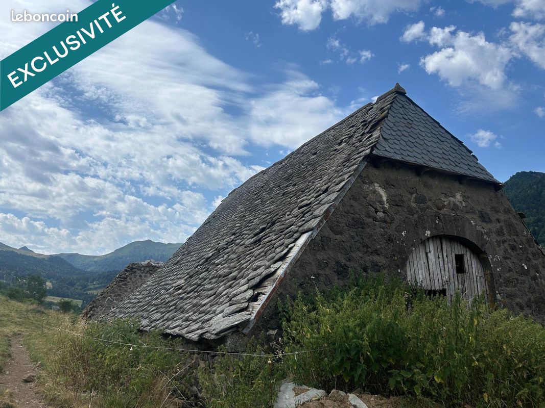 Maison 1 pièce 300 m² · à Le Falgoux · 300 m² · 64 000 €