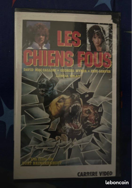 Les chiens fous (image 1)