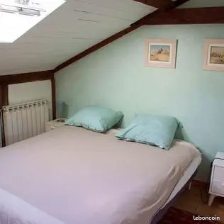 Villa Landaise 5 chambres – Piscine 15x6 – Jardin 7 000 m² – Proche Océan (image 12)