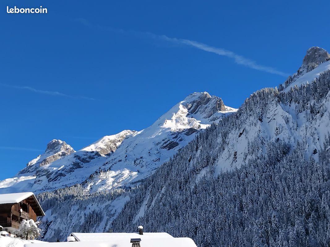 Promo dernière minute grand bornand chalet (image 14)