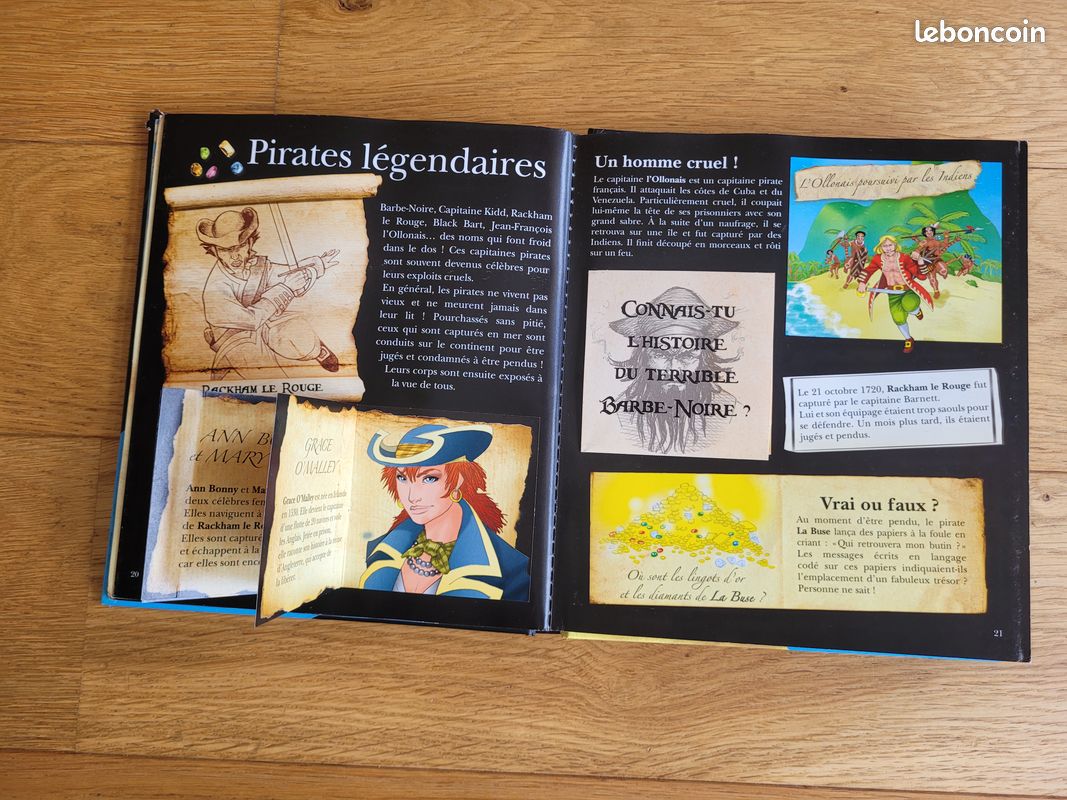 L’incroyable encyclopédie Larousse Les pirates (image 4)