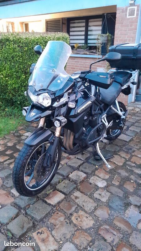 Vends Triumph 1200 explorer (image 1)