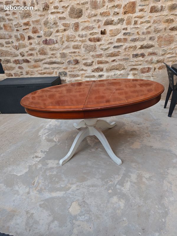 Table + chaises (image 4)